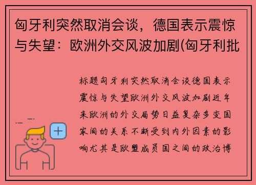匈牙利突然取消会谈，德国表示震惊与失望：欧洲外交风波加剧(匈牙利批准)